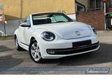Volkswagen Beetle 1.2 TSI DSG Cup*NAV*Xenon*SHZ*PDC*BT* - Volkswagen Beetle in Berlin