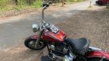 Harley-Davidson FLSTC - Custom Bike - Angebote