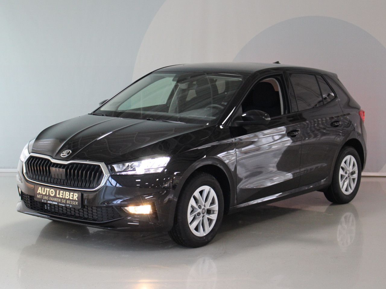 Fahrzeugabbildung SKODA Fabia 1.0 TSI Selection DSG/CAM/PDC/WINTER