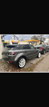Ford Range Rover Evoque 2.2 Diesel Automatik - Ford Ranger Gebrauchtwagen in Frankfurt