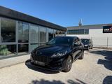 Ford Kuga ST-Line 2.0 EcoBlue*Digital Tacho*Automatik - Diesel Gebrauchtwagen