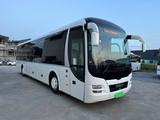 MAN Lions Regio Euro 5  Sehr guter  Zustand - MAN Lions regio