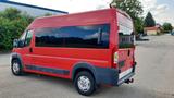 Fiat Ducato - gebrauchte Fiat Ducato aus dem Jahr 2009