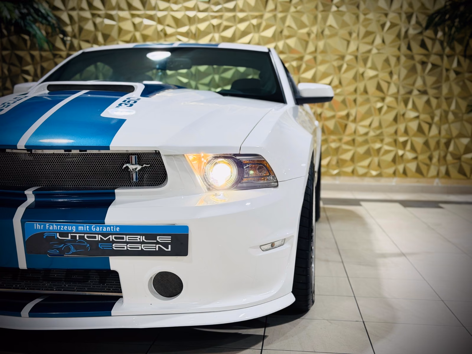 Ford Mustang Shelby American GT 350|624PS|CSM|SAMMLER
