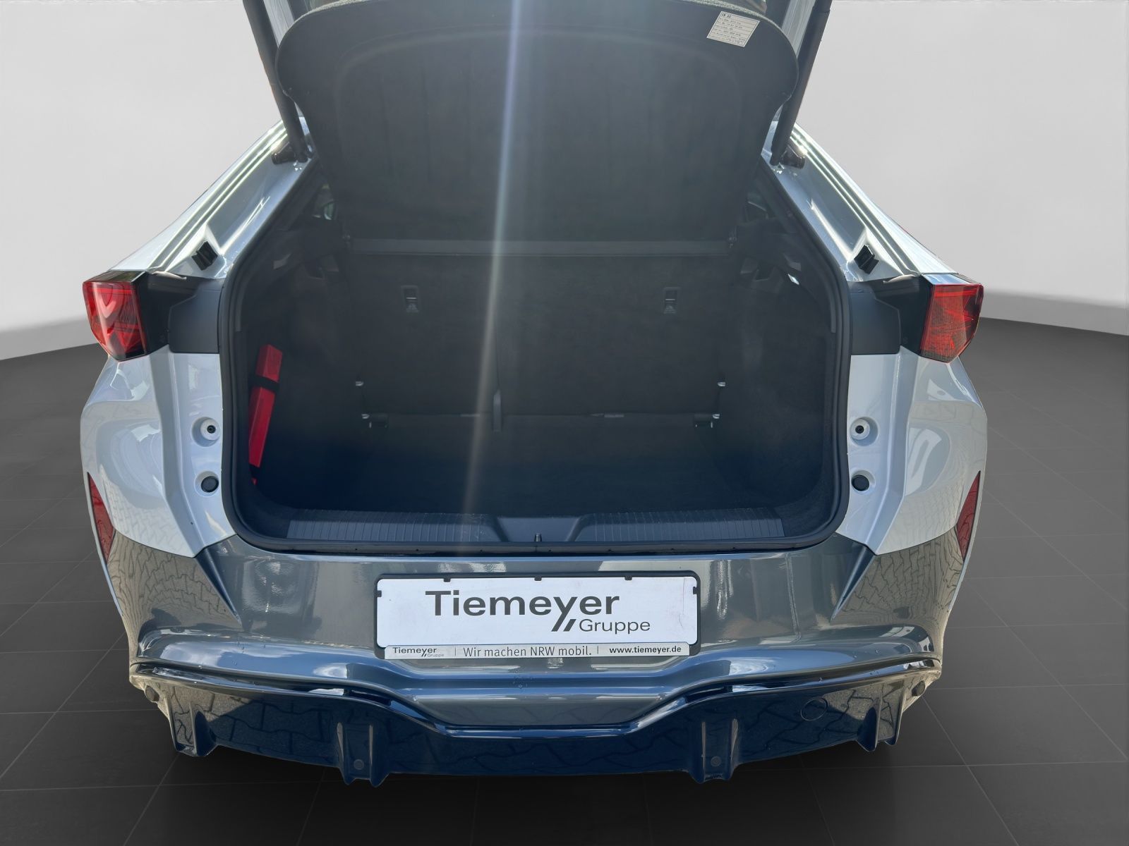 Cupra Tavascan - Bild 17