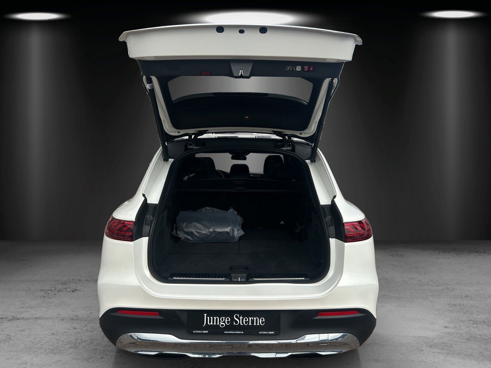 Fahrzeugabbildung Mercedes-Benz EQS 450+ SUV Premium HYPER Massage DISTRO 7-Sitz