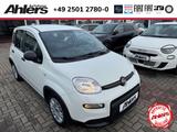 Fiat Panda +5SITZER+ALLWETTER+KLIMA+BLUETOOTH+DAB+ - Fiat Panda Gebrauchtwagen in Münster