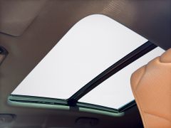 Fahrzeugabbildung DS Automobiles DS 7 Crossback 1.6 E-Tense 300 4x4 Rivoli