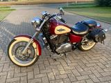 Honda Shadow VT 1100  / C2 American Edition  - HONDA SHADOW 1100 VT C2