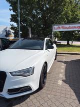 Audi S5 8TA Steuerkette neu - Audi S5 in Hannover