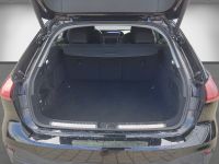 Audi A5 - Vorschau Bild 14