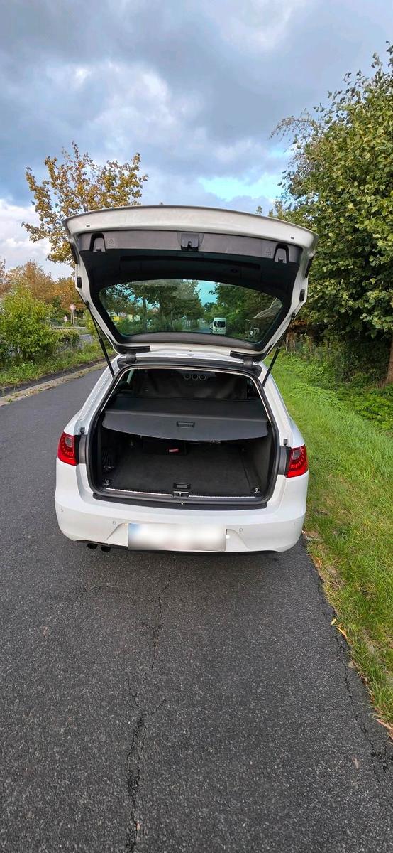 Seat Exeo 2012 — photo 12