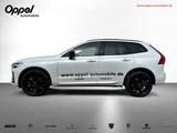 Volvo XC 60 T8 AWD Plus Black Ed. PlugIn*AHK*Panoramad - Volvo: X60