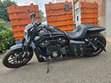 Harley-Davidson Night Rod Special - Angebote