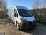 Fiat Ducato L5H2 Kastenwagen  - Fiat Ducato in Aachen