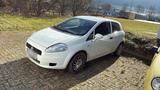 Fiat Punto weiß HEUTE 2000 * Günstiger ... - : Kleinwagen, Günstiger