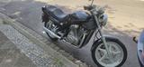 Suzuki VX 800 - SUZUKI VX 800