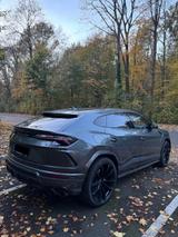 Lamborghini Urus - Lamborghini Gebrauchtwagen in Düsseldorf