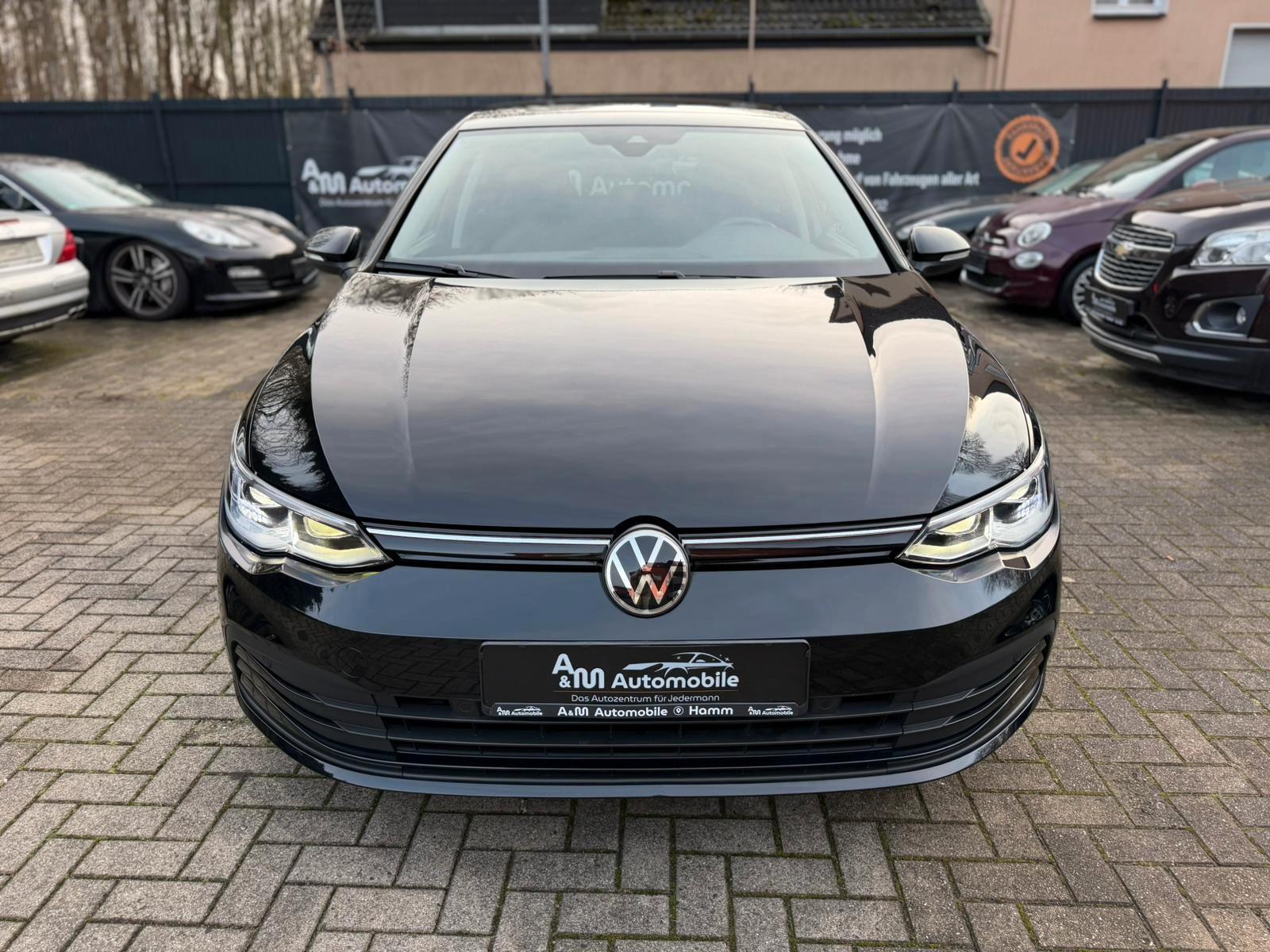 Volkswagen Golf VIII Lim. Life*Navi/Pano/IQ-Light/Kam/SHZ*, миниатюра 5