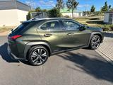 Lexus UX 250h Luxury Line Luxury Line - Lexus aus 2021