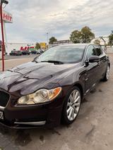 Jaguar XF Sportpack Bi-Turbo - gebrauchte Jaguar XF aus dem Jahr 2010