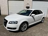 Audi A3 2.0 Ambition Xenon 2. Hand - Audi A3 mit Diesel-Antrieb: Sportwagen