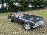 Jaguar XJ40 - Jaguar XJ40
