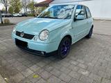 Volkswagen Lupo 1.4 16V. - Volkswagen Lupo: 16v
