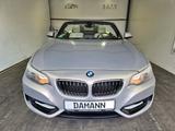 BMW 228i Cabrio Luxury Line - BMW 2er Reihe: Luxury Line