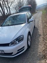 Volkswagen Golf VII 1.6 TDI CUP  - Volkswagen Golf Limousine Cup mit Diesel-Antrieb