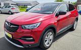 Opel Grandland X 120 Jahre AHK be.Front LED Kamera Ga - Opel Grandland (X) 120-Jahre