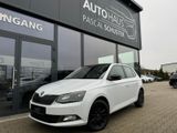 Skoda Fabia 1.0 TSI/TEMPOMAT/SHZ/KLIMAAUTOMATIK/PDC - Skoda Fabia in Braunschweig