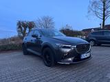 Mazda CX-3 2.0 AWD - Bose- Automatik - CarPlay - Mazda CX-3 in Wuppertal