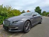 Jaguar XJ Luxury 3.0 V6 Diesel Luxury - Jaguar XJ aus 2018