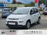 Fiat Pandina 1.0 - City Paket-sofort verfügbar - weiße Fiat New Panda