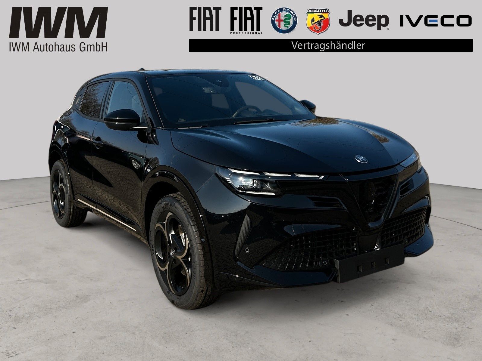Alfa Romeo Junior - Bild 4