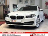 BMW 520d Automatik/Leder/Xenon/Navi Prof/Klimaauto. - BMW 520 aus 2017