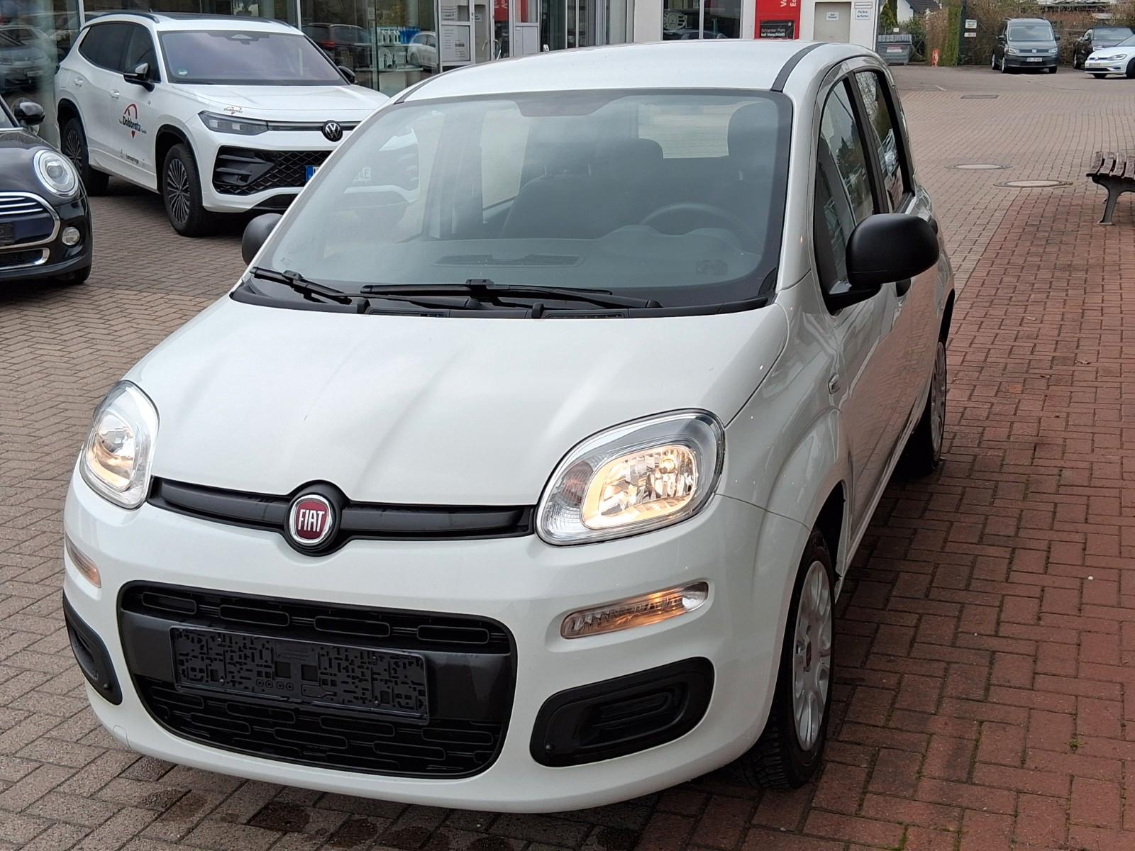 Fiat Panda Easy
