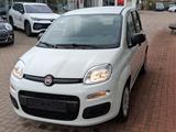 Fiat Panda Easy - gebrauchte Fiat Panda aus dem Jahr 2019