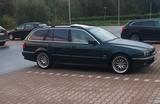 BMW E39 523i Automatik - BMW 523: Kombi, E39 523i