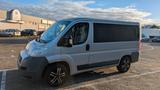 Fiat Ducato 250 Vanlife Camper 3 Liter Diesel Iveco - Fiat Ducato: 8 Sitzer