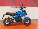 Honda MSX125 Grom ABS - HONDA MSX