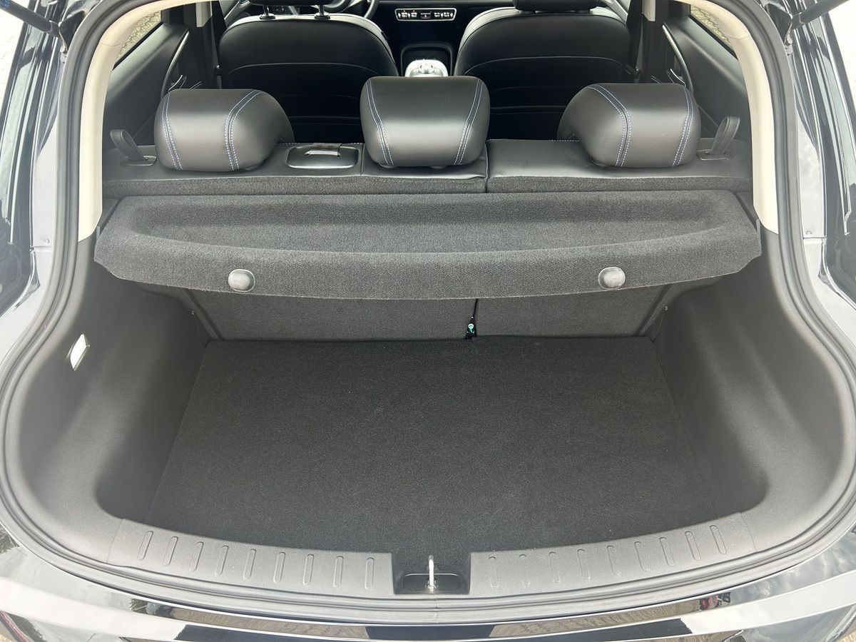 GWM Ora 03 - Bild 16