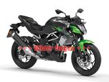 Kawasaki Z125 Willkommen in der Z-Familie! - KAWASAKI W1