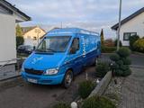 Mercedes-Benz Mercedes Sprinter 313 CDI MAXI  L4H1 TÜV... - Mercedes-Benz Sprinter: 313 Cdi Maxi