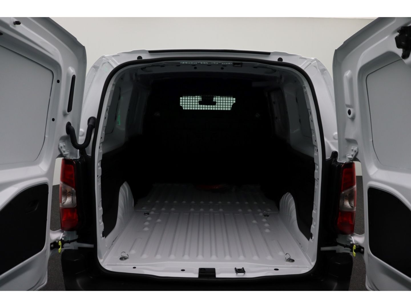 Fahrzeugabbildung Fiat Doblo E- Kastenwagen XL 100 kW digit.Rückspiegel