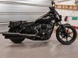 Indian Chief Dark Horse