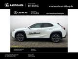 Lexus UX 250h Style Edition /ACC/FLA/ParkAss./SHZ/LM - Lexus