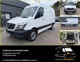 Mercedes-Benz Sprinter 313 CDI Kasten L2H2 Standheizung 3,5t - Mercedes-Benz Sprinter: 5t