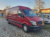 Mercedes-Benz Sprinter 313 CDI *Maxi* - Mercedes-Benz Sprinter: 313 Cdi Maxi